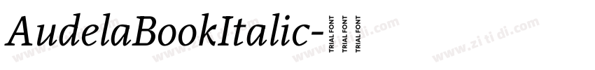 AudelaBookItalic字体转换