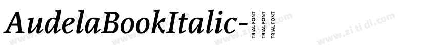 AudelaBookItalic字体转换