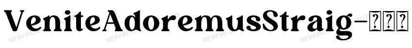 VeniteAdoremusStraig字体转换