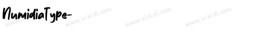 NumidiaType字体转换