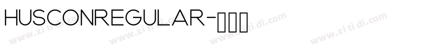 HusconRegular字体转换