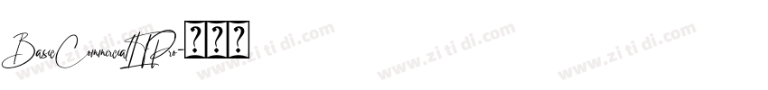 BasicCommercialLTPro字体转换