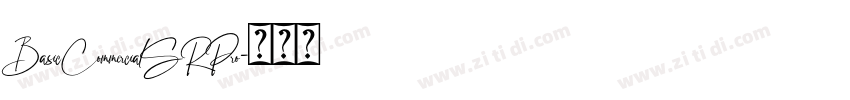 BasicCommercialSRPro字体转换