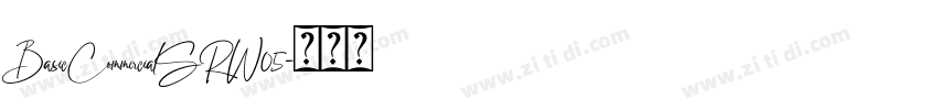 BasicCommercialSRW05字体转换