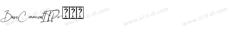 BasicCommercialLTPro字体转换