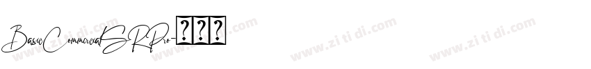BasicCommercialSRPro字体转换