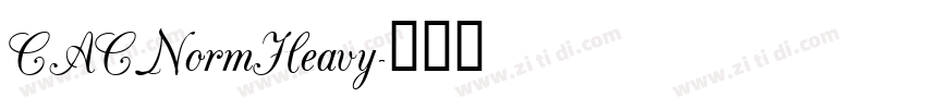 CACNormHeavy字体转换