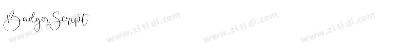 BadgerScript字体转换