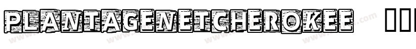 PlantagenetCherokee字体转换