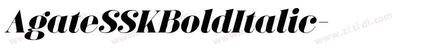 AgateSSKBoldItalic字体转换
