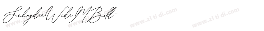 SchnyderWideMBold字体转换 SchnyderWideMBold字体转换