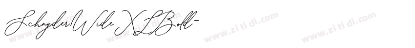SchnyderWideXLBold字体转换