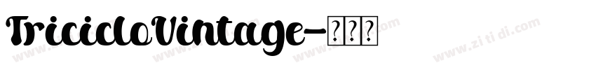 TricicloVintage字体转换