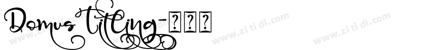 DomusTitling字体转换