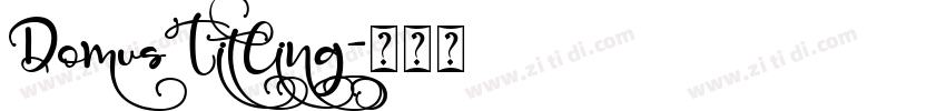 DomusTitling字体转换