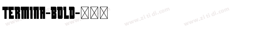 Termina-bold字体转换