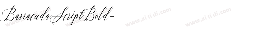 BarracudaScriptBold字体转换