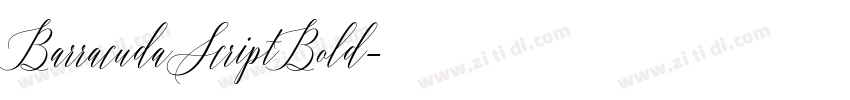 BarracudaScriptBold字体转换