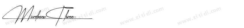 MicroberwThree字体转换
