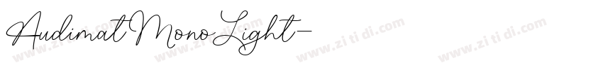 AudimatMonoLight字体转换