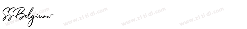 SSBelgium字体转换