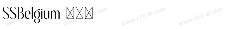 SSBelgium字体转换
