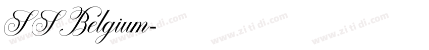 SSBelgium字体转换
