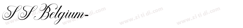 SSBelgium字体转换
