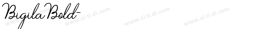 BigilaBold字体转换