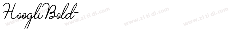 HoogliBold字体转换