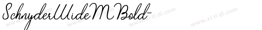 SchnyderWideMBold字体转换 SchnyderWideMBold字体转换