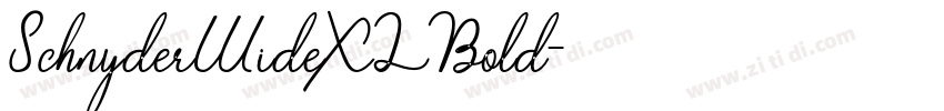 SchnyderWideXLBold字体转换