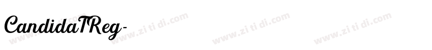 CandidaTReg字体转换