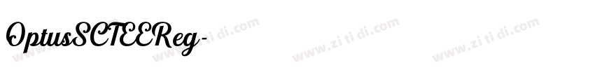 OptusSCTEEReg字体转换
