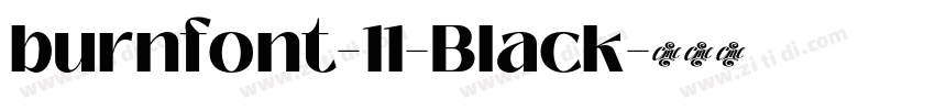 burnfont-11-Black字体转换