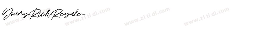 YoungRichRegule字体转换