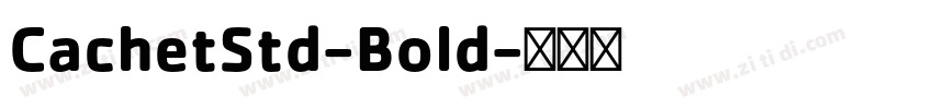 CachetStd-Bold字体转换