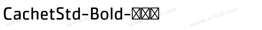 CachetStd-Bold字体转换