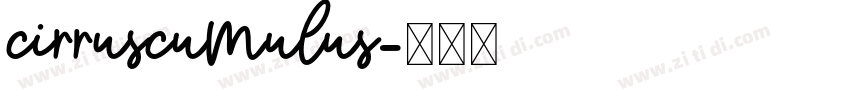 CirrusCumulus字体转换