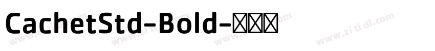 CachetStd-Bold字体转换