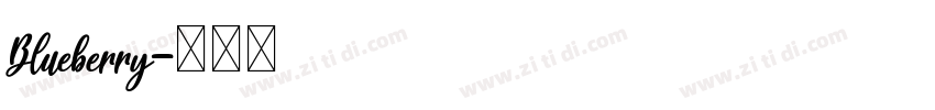 Blueberry字体转换