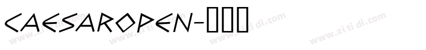 CaesarOpen字体转换