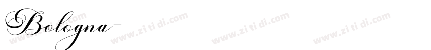 Bologna字体转换
