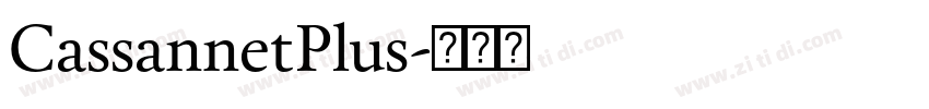 CassannetPlus字体转换