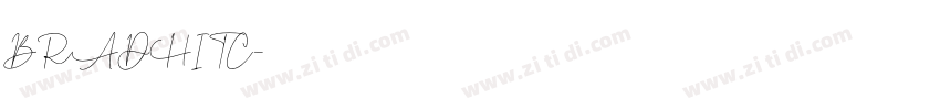 BRADHITC字体转换