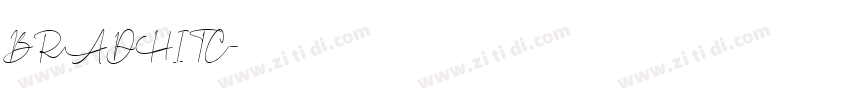 BRADHITC字体转换