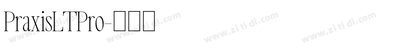 PraxisLTPro字体转换