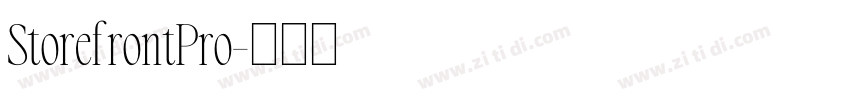 StorefrontPro字体转换