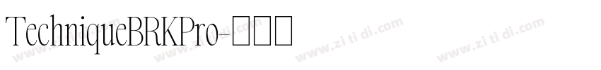 TechniqueBRKPro字体转换