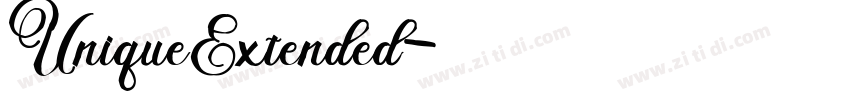 UniqueExtended字体转换
